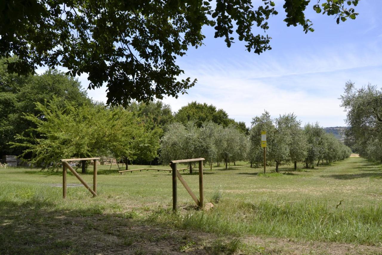Agriturismo Forestale Luti Treia Kültér fotó