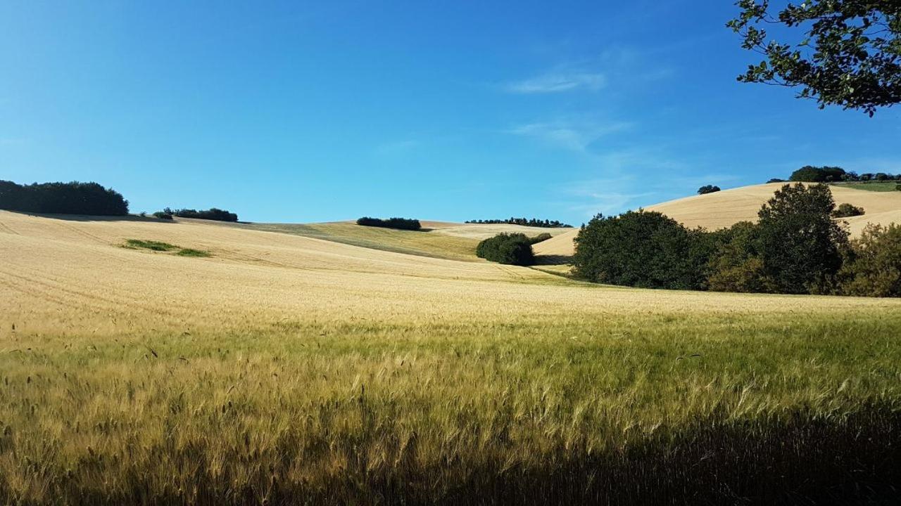 Agriturismo Forestale Luti Treia Kültér fotó